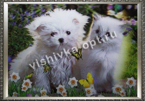 Картина 5D «Котенок и щенок» (без рамки) 38*28см (1шт) цвет:14170Б
